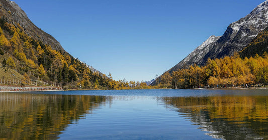 Esg Progress Report 2025